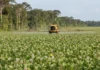 Estudo avalia 625 pesticidas em 201 países e aponta aumento da toxicidade para seis grupos de espécies, com Brasil entre os mais expostos Estudo avalia 625 pesticidas em 201 países e aponta aumento da toxicidade para seis grupos de espécies, com Brasil entre os mais expostos