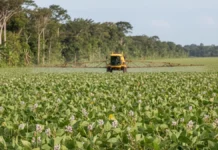 Estudo avalia 625 pesticidas em 201 países e aponta aumento da toxicidade para seis grupos de espécies, com Brasil entre os mais expostos Estudo avalia 625 pesticidas em 201 países e aponta aumento da toxicidade para seis grupos de espécies, com Brasil entre os mais expostos