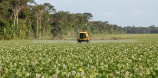 Estudo avalia 625 pesticidas em 201 países e aponta aumento da toxicidade para seis grupos de espécies, com Brasil entre os mais expostos Estudo avalia 625 pesticidas em 201 países e aponta aumento da toxicidade para seis grupos de espécies, com Brasil entre os mais expostos