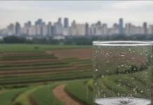 Amostras de chuva em três cidades paulistas revelam 14 agrotóxicos, incluindo atrazina, e Campinas registra a maior concentração Amostras de chuva em três cidades paulistas revelam 14 agrotóxicos, incluindo atrazina, e Campinas registra a maior concentração