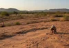 Após 14 anos, pesquisadores confirmam pegadas de dinossauros com mais de 110 milhões de anos em Roraima, primeiro registro na Amazônia Após 14 anos, pesquisadores confirmam pegadas de dinossauros com mais de 110 milhões de anos em Roraima, primeiro registro na Amazônia