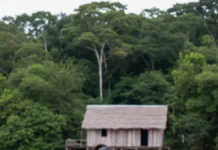 Família encontra urnas funerárias no quintal em Alvarães e Instituto Mamirauá investiga vestígios de aldeia indígena entre mais de 300 sítios Família encontra urnas funerárias no quintal em Alvarães e Instituto Mamirauá investiga vestígios de aldeia indígena entre mais de 300 sítios