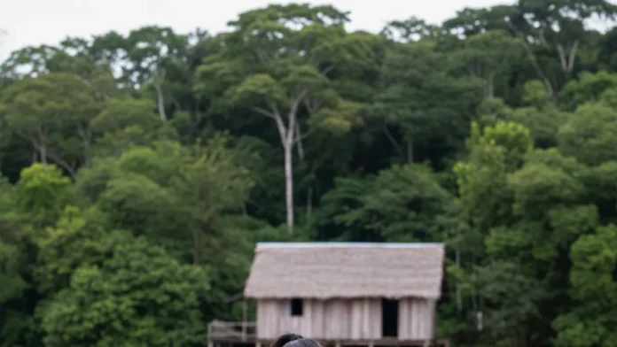 Família encontra urnas funerárias no quintal em Alvarães e Instituto Mamirauá investiga vestígios de aldeia indígena entre mais de 300 sítios