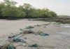 Pesquisa encontra 459 petrechos de pesca em praias de Algodoal, faixa turística tem menos resíduos e uma corda reúne 364 animais de sete grupos Pesquisa encontra 459 petrechos de pesca em praias de Algodoal, faixa turística tem menos resíduos e uma corda reúne 364 animais de sete grupos