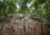 Após três expedições, projeto intercultural identifica primeiras pinturas rupestres no Alto Rio Negro e aproxima marcas ancestrais de histórias indígenas Após três expedições, projeto intercultural identifica primeiras pinturas rupestres no Alto Rio Negro e aproxima marcas ancestrais de histórias indígenas