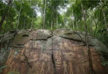 Após três expedições, projeto intercultural identifica primeiras pinturas rupestres no Alto Rio Negro e aproxima marcas ancestrais de histórias indígenas Após três expedições, projeto intercultural identifica primeiras pinturas rupestres no Alto Rio Negro e aproxima marcas ancestrais de histórias indígenas