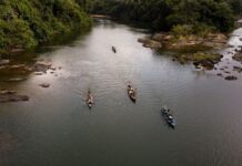 Mais de 120 indígenas ocupam prédio federal contra mina de ouro no Xingu, e licença chega ao Supremo Mais de 120 indígenas ocupam prédio federal contra mina de ouro no Xingu, e licença chega ao Supremo