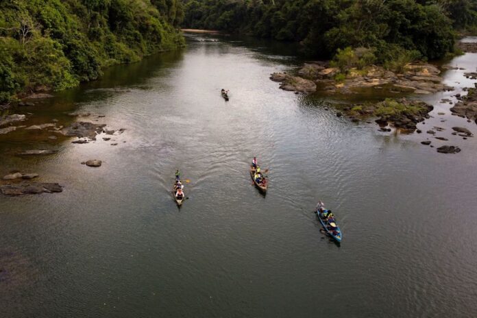 Mais de 120 indígenas ocupam prédio federal contra mina de ouro no Xingu, e licença chega ao Supremo Mais de 120 indígenas ocupam prédio federal contra mina de ouro no Xingu, e licença chega ao Supremo