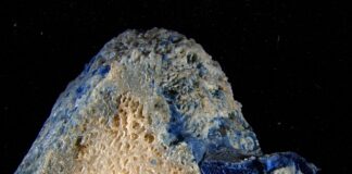 Fragmentos de coral viram “plasticoral” após plástico derreter em praias do Japão e penetrar no esqueleto Fragmentos de coral viram “plasticoral” após plástico derreter em praias do Japão e penetrar no esqueleto