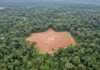 Sobrevoos no Acre revelam 396 geoglifos sob a floresta e elevam para 432 as estruturas conhecidas no sul da Amazônia Sobrevoos no Acre revelam 396 geoglifos sob a floresta e elevam para 432 as estruturas conhecidas no sul da Amazônia