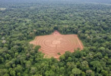 Sobrevoos no Acre revelam 396 geoglifos sob a floresta e elevam para 432 as estruturas conhecidas no sul da Amazônia Sobrevoos no Acre revelam 396 geoglifos sob a floresta e elevam para 432 as estruturas conhecidas no sul da Amazônia