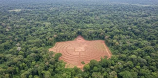Sobrevoos no Acre revelam 396 geoglifos sob a floresta e elevam para 432 as estruturas conhecidas no sul da Amazônia Sobrevoos no Acre revelam 396 geoglifos sob a floresta e elevam para 432 as estruturas conhecidas no sul da Amazônia