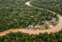 Governo lança primeiro edital para concessão em 59,8 mil hectares da Gleba Castanho e testa gestão de terras públicas na Amazônia Governo lança primeiro edital para concessão em 59,8 mil hectares da Gleba Castanho e testa gestão de terras públicas na Amazônia