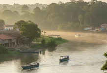 Amazônia Legal ganha primeira marca oficial para unir nove estados e fortalecer turismo, negócios e desenvolvimento sustentável Amazônia Legal ganha primeira marca oficial para unir nove estados e fortalecer turismo, negócios e desenvolvimento sustentável