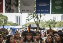 Lideranças indígenas lançam no Acampamento Terra Livre plano global para frear novos campos fósseis e colocar territórios no centro da ação climática Lideranças indígenas lançam no Acampamento Terra Livre plano global para frear novos campos fósseis e colocar territórios no centro da ação climática