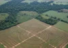 Fiscalização encontra valetas e muretas de geoglifos niveladas por plantio de soja no Acre e acordos protegem dois sítios e cadastram 400 Fiscalização encontra valetas e muretas de geoglifos niveladas por plantio de soja no Acre e acordos protegem dois sítios e cadastram 400