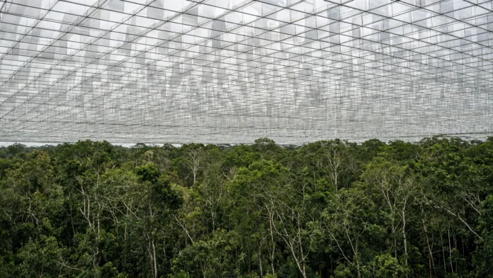 caxiuana-paineis-amazonia-seca-biomassa-jpg