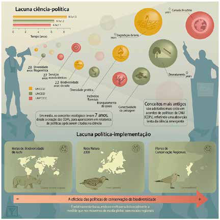 Ciência leva sete anos para virar política ambiental, e há atalhos 4 Resumo gráfico do estudo. Na parte de cima, o tempo que cada conceito levou para chegar aos documentos das três convenções da ONU; na de baixo, a efetividade das políticas de conservação, que cresce da escala global para a regional.