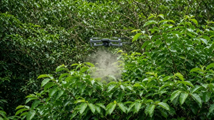 drones-insetos-goiabeira-morango-havai-jpg