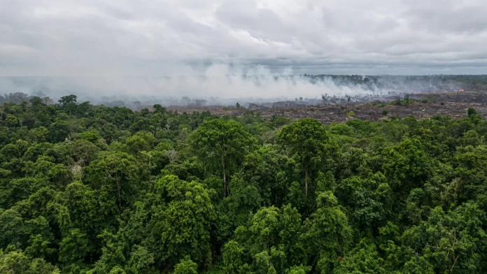 fogo-ameaca-amazonia-paragominas-para-jpg