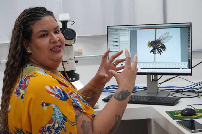 Seis novas moscas da Amazônia estavam guardadas havia até 36 anos antes de serem reconhecidas 1 Seis novas moscas da Amazônia estavam guardadas havia até 36 anos antes de serem reconhecidas