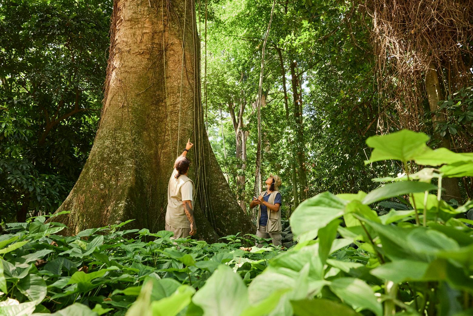Restaurar terras degradadas pode custar US$ 2,1 trilhões e expõe a conta desigual da crise climática 1 Restaurar terras degradadas pode custar US$ 2,1 trilhões e expõe a conta desigual da crise climática