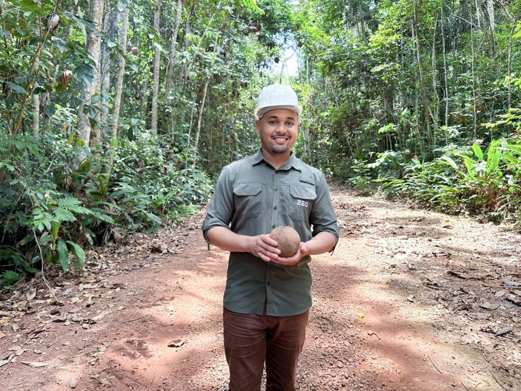 Em Roraima, 36 famílias mantêm coleta de castanha enquanto torre e carbono protegem 14 mil hectares 2 Em Roraima, 36 famílias mantêm coleta de castanha enquanto torre e carbono protegem 14 mil hectares