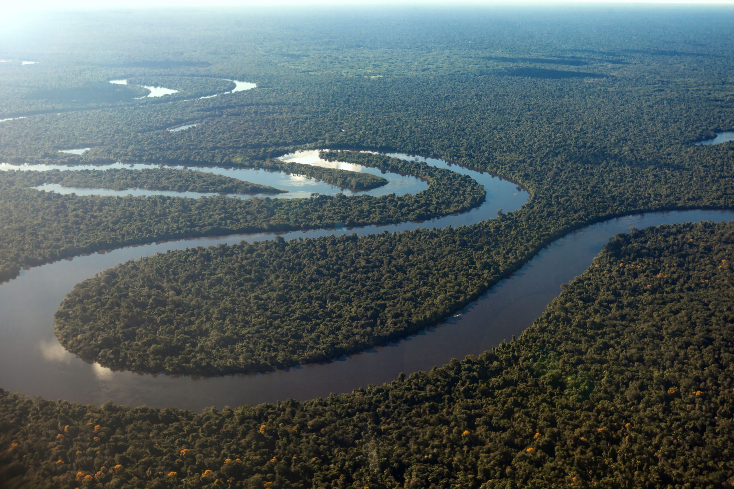 19 organizações testam plataforma que conecta desafios da Amazônia a soluções para projetos sustentáveis 3 19 organizações testam plataforma que conecta desafios da Amazônia a soluções para projetos sustentáveis