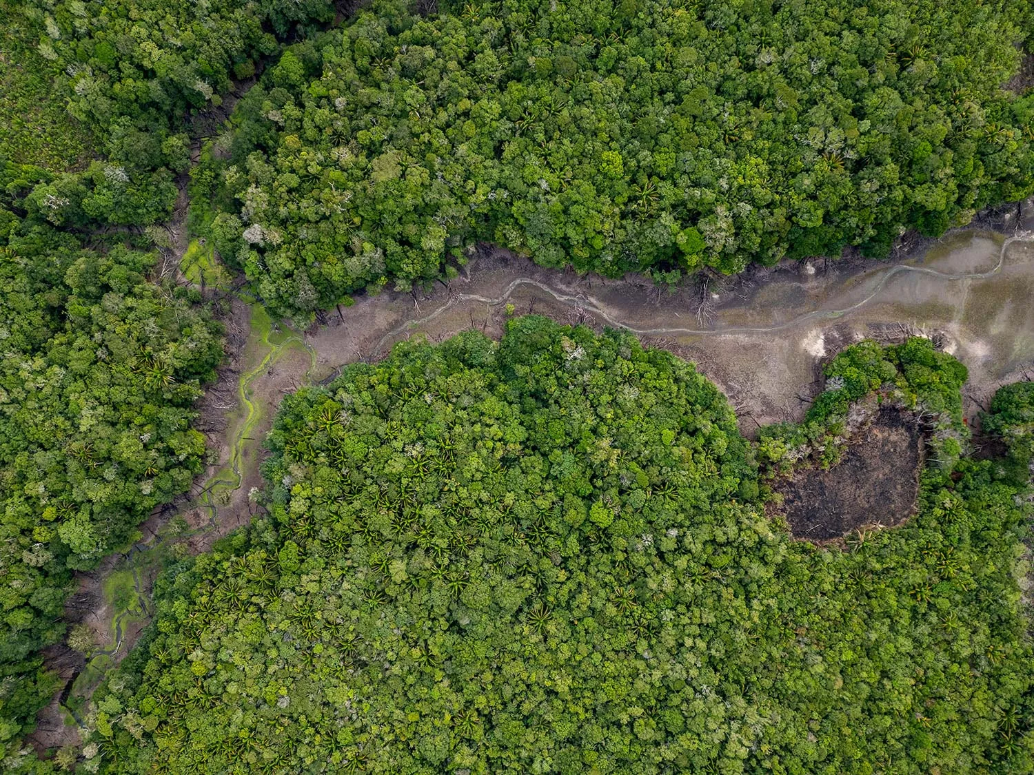 Seca eleva extremos de calor em 3,2 °C na Amazônia preservada e amplia risco para rios e florestas 1 Seca eleva extremos de calor em 3,2 °C na Amazônia preservada e amplia risco para rios e florestas