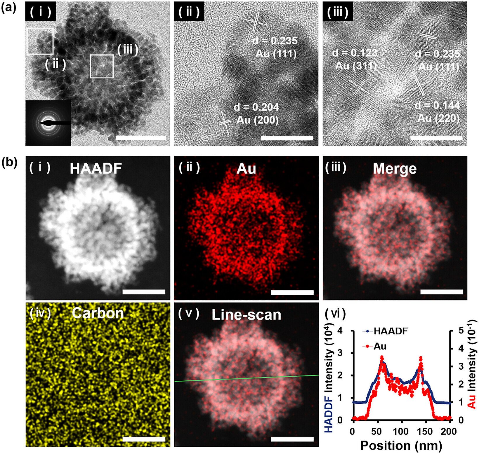 Peptídeos mudam o formato de nanopartículas de ouro e fazem estruturas ramificadas virarem esferas