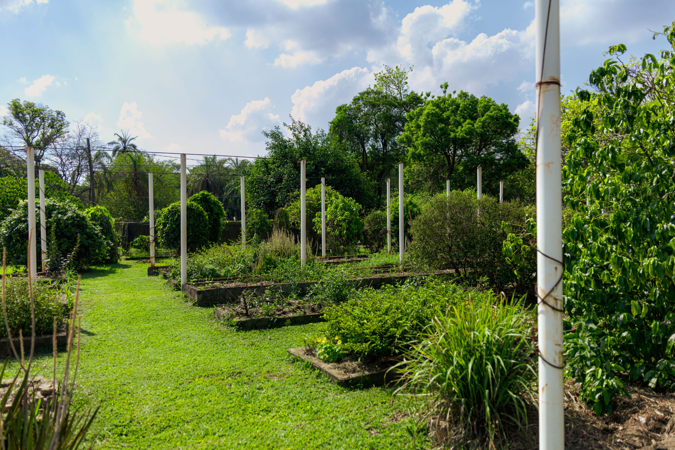 Empresas ganham 7,7 hectares na Unicamp para testar soluções agrícolas sem defensivos sintéticos 1 Empresas ganham 7,7 hectares na Unicamp para testar soluções agrícolas sem defensivos sintéticos