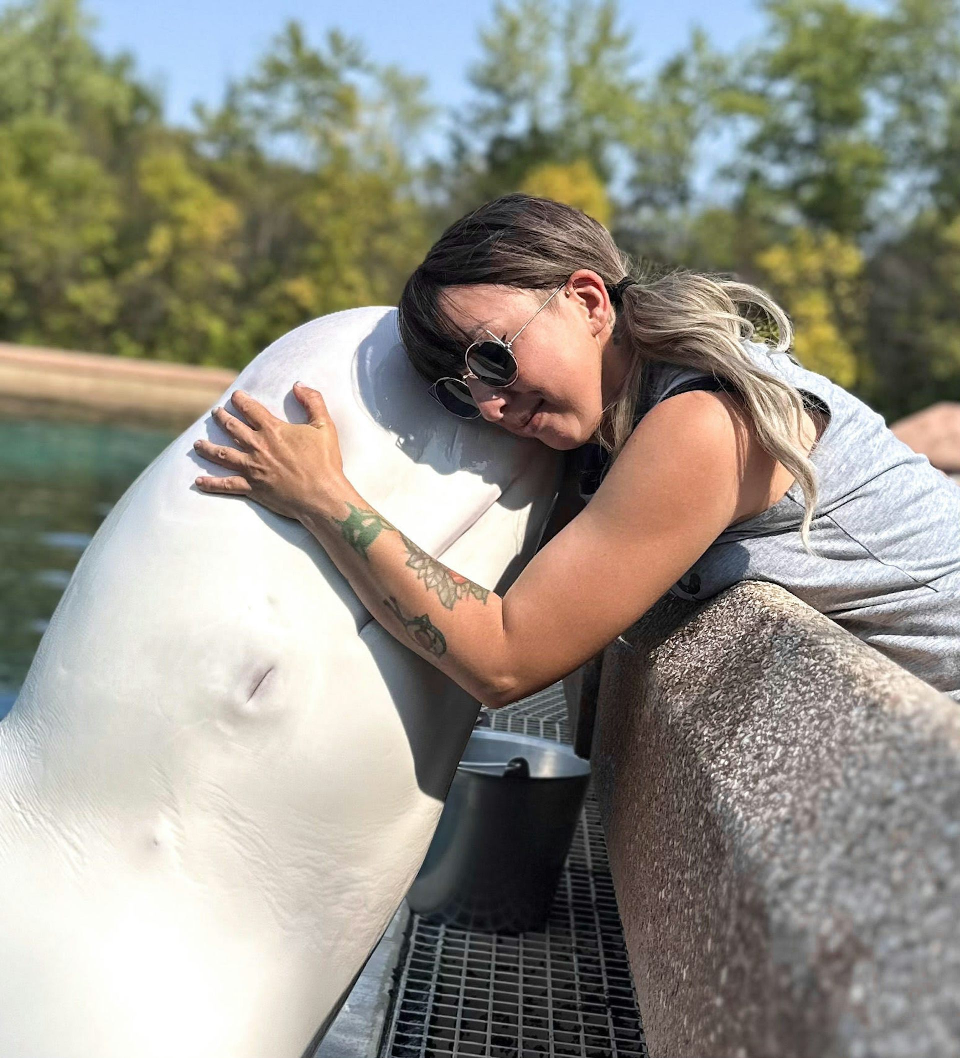 Após o fechamento de Marineland, 34 cetáceos foram transferidos e o destino dos sobreviventes expôs um dilema 1 Após o fechamento de Marineland, 34 cetáceos foram transferidos e o destino dos sobreviventes expôs um dilema