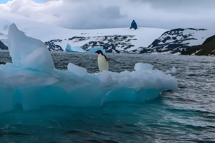 Degelo polar perde 9.179 gigatoneladas desde 1976 e ameaça cidades costeiras com avanço do mar 1 Degelo polar perde 9.179 gigatoneladas desde 1976 e ameaça cidades costeiras com avanço do mar