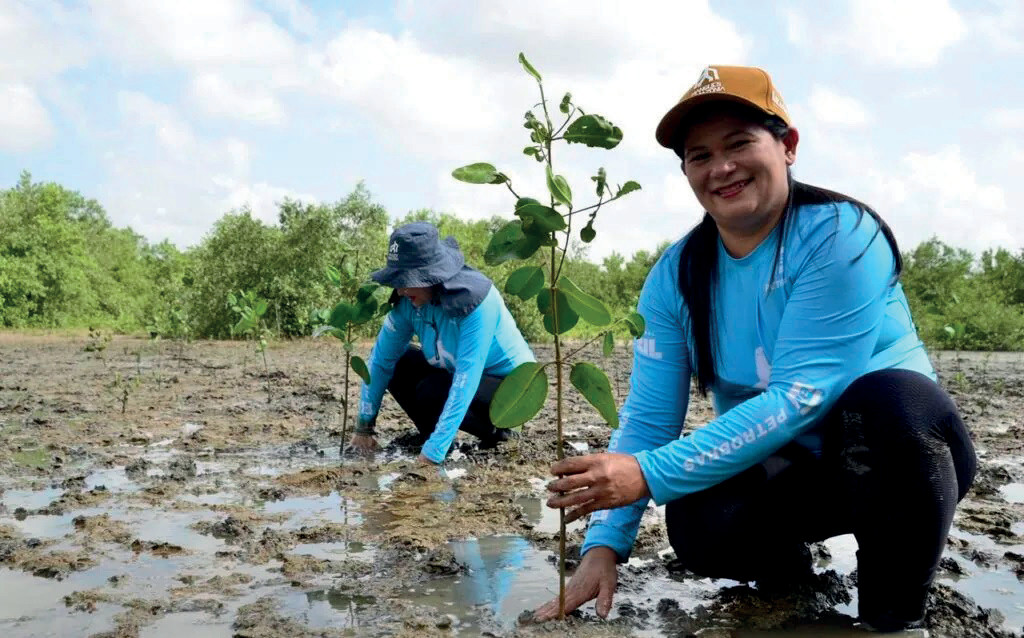 Os manguezais do mundo estão se recuperando 1 “Mangues da Amazônia”: projeto comunitário atua na conservação de manguezais.