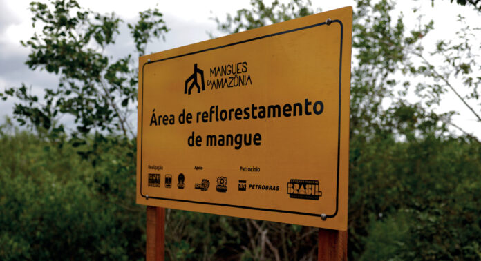 Os manguezais do mundo estão se recuperando Placa amarela do projeto Mangues da Amazônia em área de reflorestamento de mangue