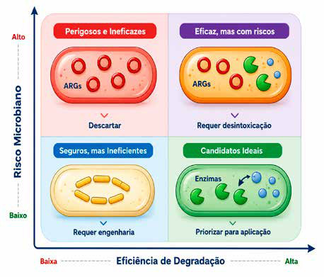 Micróbios pegam carona no plástico que desce os rios amazônicos 3 O mapa de decisão proposto pelos cientistas cruza eficiência de degradação e risco microbiológico para separar os micróbios que podem ir a campo daqueles que devem ficar em biorreatores ou ser descartados.