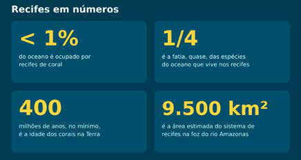 Os recifes ocupam uma área pequena do oceano, mas concentram uma parte enorme da vida marinha.
