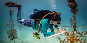 Mergulhadora anota o crescimento de fragmentos de coral em um berçário submarino no Santuário Marinho Nacional de Florida Keys, nos Estados Unidos.