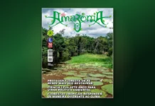 Evitar fogo e corte de madeira na floresta em pé rende mais que replantar, mostra estudo no Pará Capa da edição 157 da Revista Amazônia com vitórias-régias no Rio Croa, no Acre