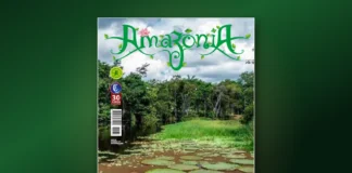 Evitar fogo e corte de madeira na floresta em pé rende mais que replantar, mostra estudo no Pará Capa da edição 157 da Revista Amazônia com vitórias-régias no Rio Croa, no Acre