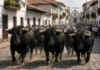 Não havia arena separando os animais do público: 21 touros de cerca de 500 kg correram por ruas tomadas por uma multidão, deixando dois mortos e 11 feridos durante uma festa tradicional no México