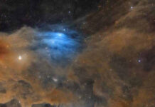 Um tubarão de poeira no céu vence o prêmio de astrofotografia Nebulosa escura LDN 1235, a Nebulosa do Tubarão, em tons de laranja e azul