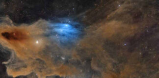 Um tubarão de poeira no céu vence o prêmio de astrofotografia Nebulosa escura LDN 1235, a Nebulosa do Tubarão, em tons de laranja e azul