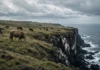 Cinco vacas foram deixadas entre falésias, pastos e tempestades em 1871; 130 anos depois, o DNA do rebanho surpreendeu os cientistas