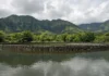 Zuckerberg pagou R$ 20 milhões para salvar do concreto este paraíso no Havaí onde peixes vivem entre pedras erguidas há 600 anos