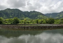 Zuckerberg pagou R$ 20 milhões para salvar do concreto este paraíso no Havaí onde peixes vivem entre pedras erguidas há 600 anos