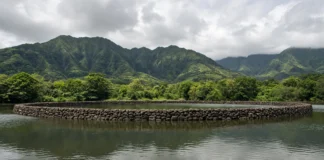 Zuckerberg pagou R$ 20 milhões para salvar do concreto este paraíso no Havaí onde peixes vivem entre pedras erguidas há 600 anos