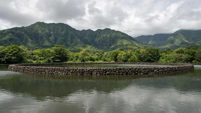 viveiro-alakoko-kauai-muro-pedra-conservacao-jpg
