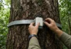 Cientistas bombam CO2 em anéis de torres sobre a floresta, para simular o clima futuro e testar adaptação das árvores adultas, na Amazônia