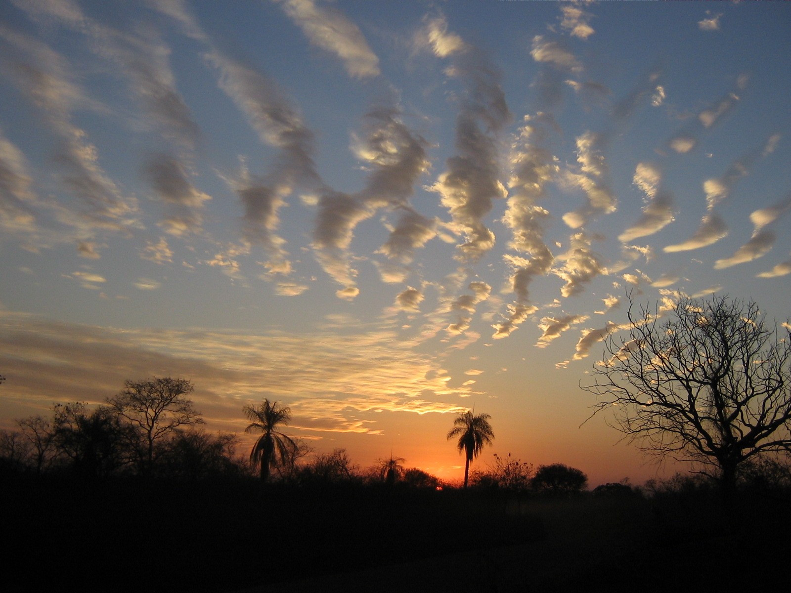 Aquecimento acelera em ondas e atinge cada região em um tempo 3 Fim de tarde na Chiquitania, no leste da Bolívia, região onde o estudo detectou a única aceleração da América do Sul.